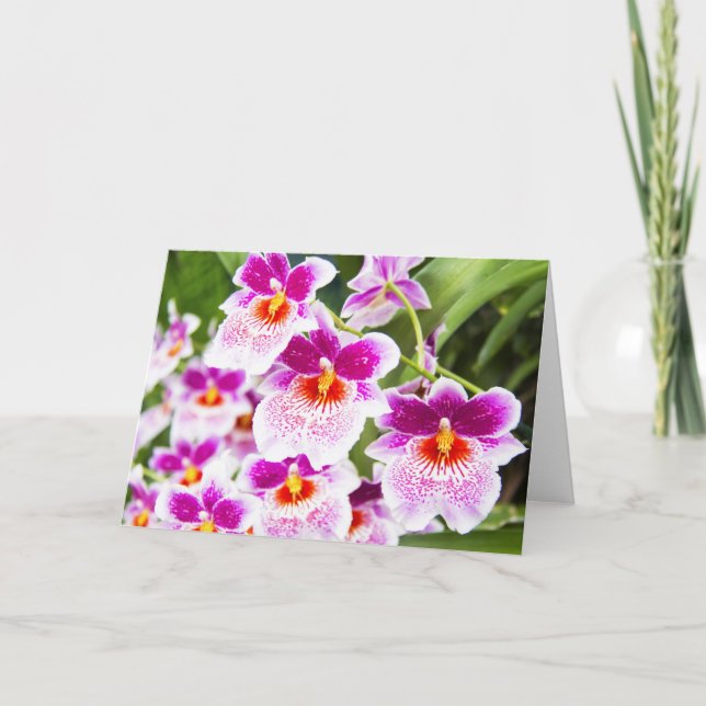 La Tarjeta de Felicitaciones de Orquídeas Cattleya (Anverso)