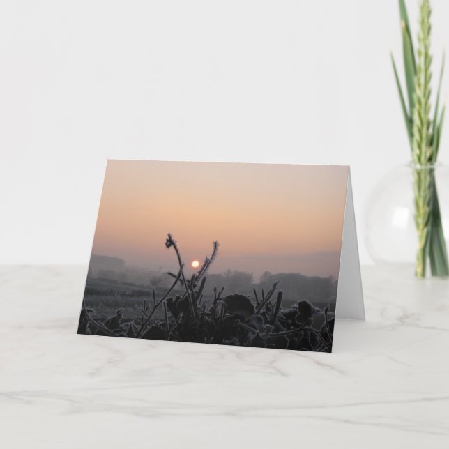 La tarjeta de felicitaciones/heló el campo cerca (Anverso)