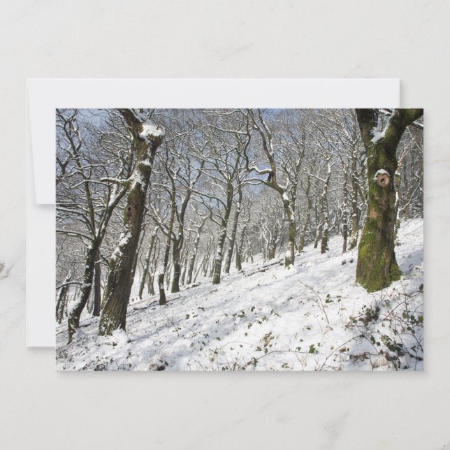 La tarjeta de invierno del bosque de Macclesfield (Anverso)