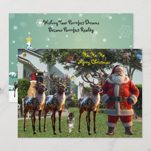 La tarjeta de Navidad de Tito's Dream - 2025