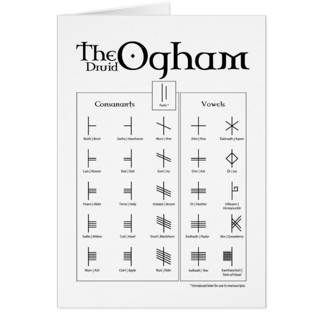 La tarjeta de Ogham del druida (Frente)