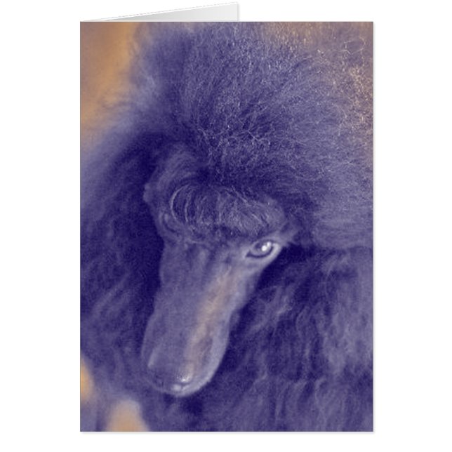 La tarjeta de Romey (Frente)