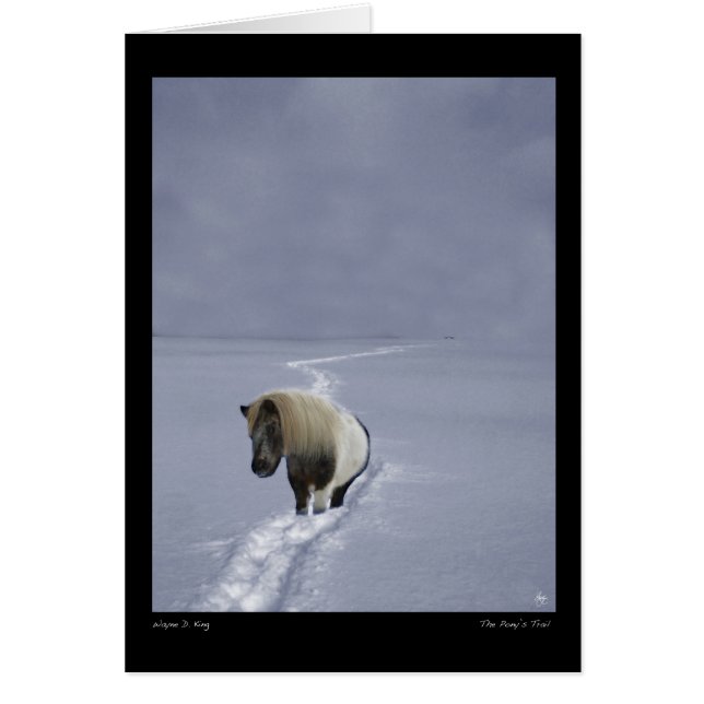 La tarjeta de senderos de Pony (Frente)