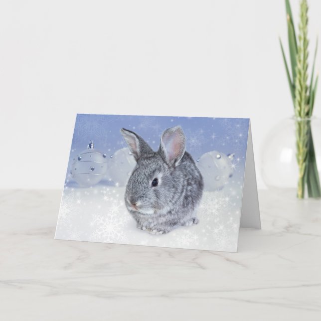 ¡La tarjeta de vacaciones WildRescue! (Anverso)