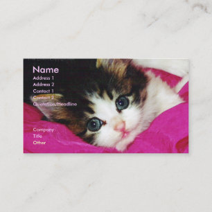 La tarjeta de visita más linda del gatito del