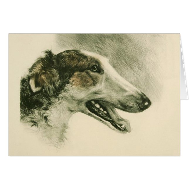 La tarjeta del Borzoi (Anverso (Horizontal))