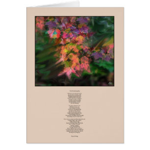 La tarjeta del día anterior