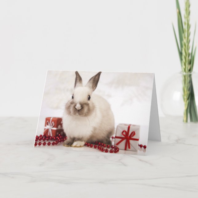 ¡La tarjeta del día de fiesta de WildRescue! (Anverso)