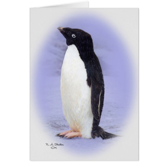 La tarjeta del pingüino de Ade'lie (Frente)