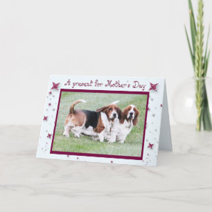 "La tarjeta divertida w/Basset del día de madre"