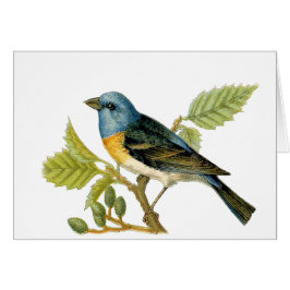 La tarjeta Lazuli Bunting Bird