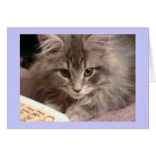 La tarjeta nueva inútil de Maynard