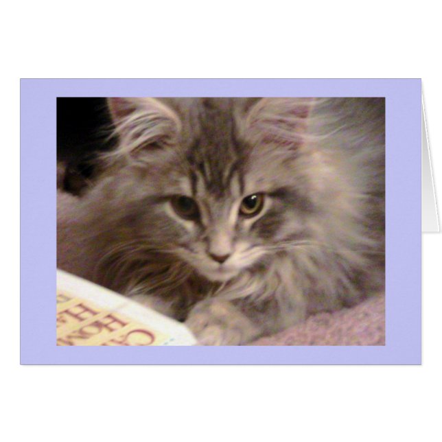 La tarjeta nueva inútil de Maynard (Anverso (Horizontal))