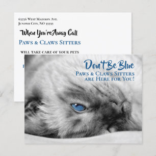 La tarjeta Personalizado de Sitter, Mascota siamés