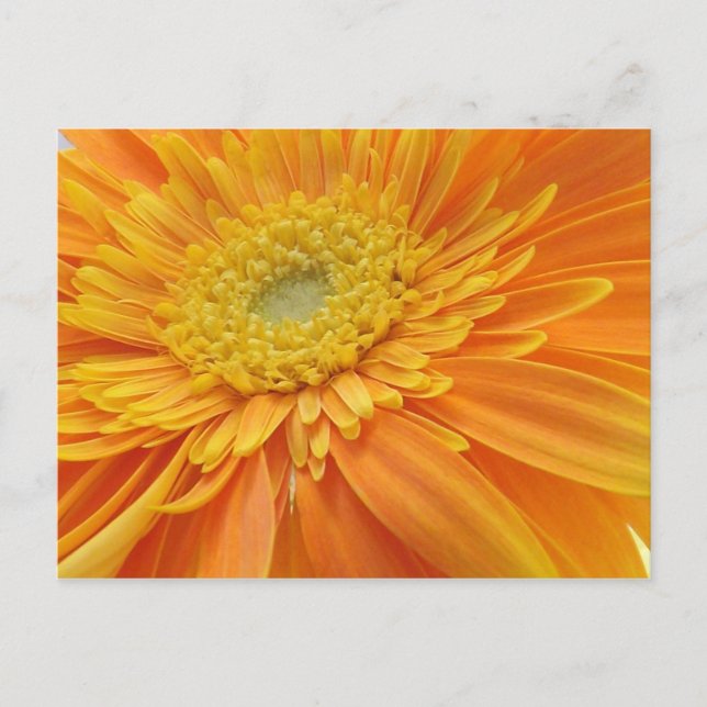 La tarjeta postal de la palabra (Anverso)