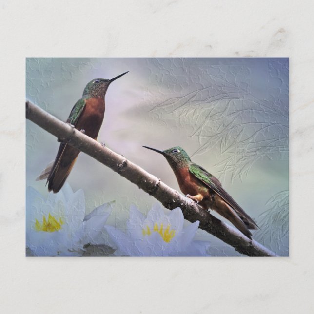 La Tarjeta Postal de las Gemas (Anverso)