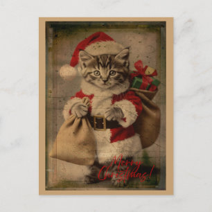 La tarjeta postal de Navidad del gatito 'Locura Fe