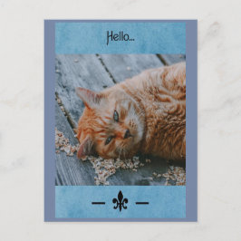 La tarjeta postal de saludo del gato flojo