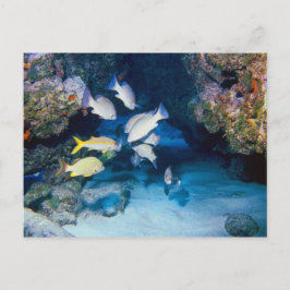 LA TARJETA POSTAL DEL AGUJERO EN LA PARED