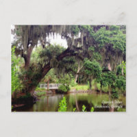 La tarjeta postal española Mosca Savannah Georgia