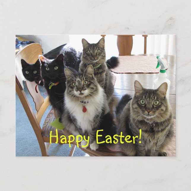 La tarjeta postal gay de Pascua (Anverso)