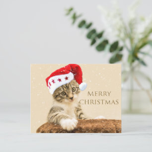 La tarjeta postal mágica de vacaciones