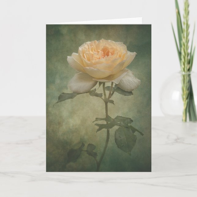 La tarjeta rosa única (Anverso)