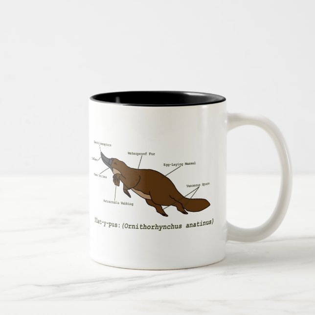 La taza asombrosa de Platypus (Derecha)