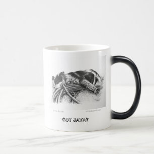 ¿La taza azul de Heeler "consiguió Java? "