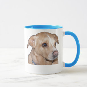 La taza de Bentley