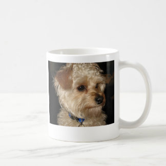 La taza de Charlie