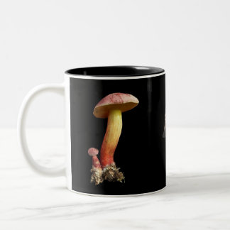 La taza del amante de la seta