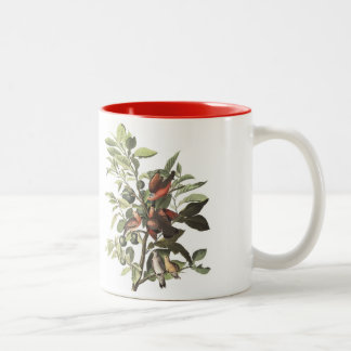 La taza del pájaro de Audubon, tierra se zambulló,