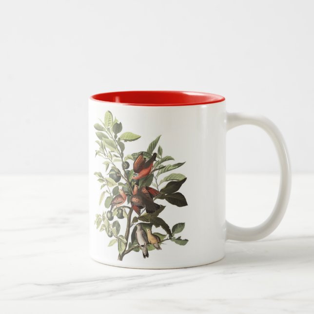 La taza del pájaro de Audubon, tierra se zambulló, (Derecha)