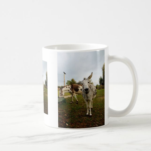 La taza inquisitiva del burro (Derecha)
