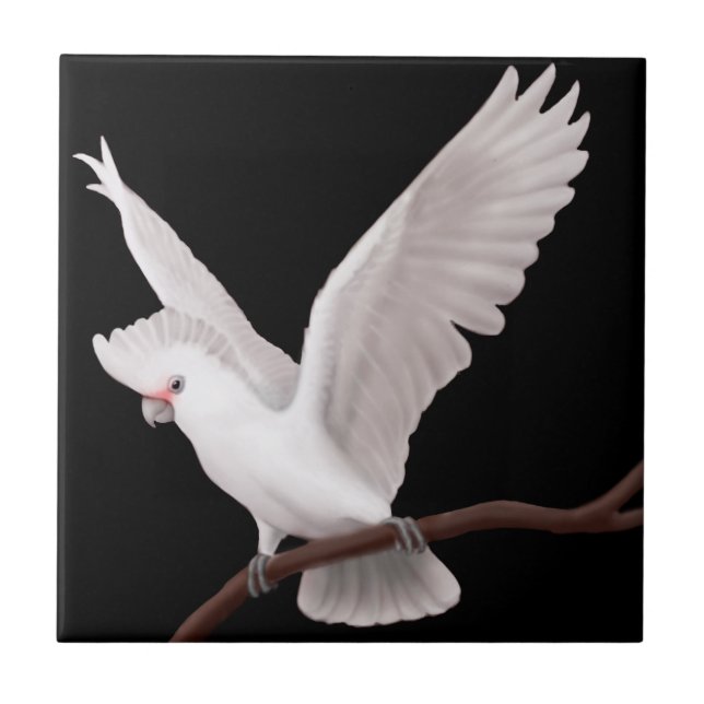 La teja del loro de Cockatoo de Goffins (Frente)