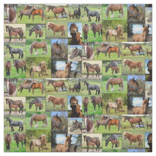 La tela de encargo del amante del caballo