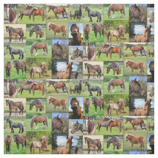 La tela de encargo del amante del caballo (Retal)