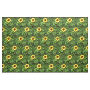 La tela del GIRASOL