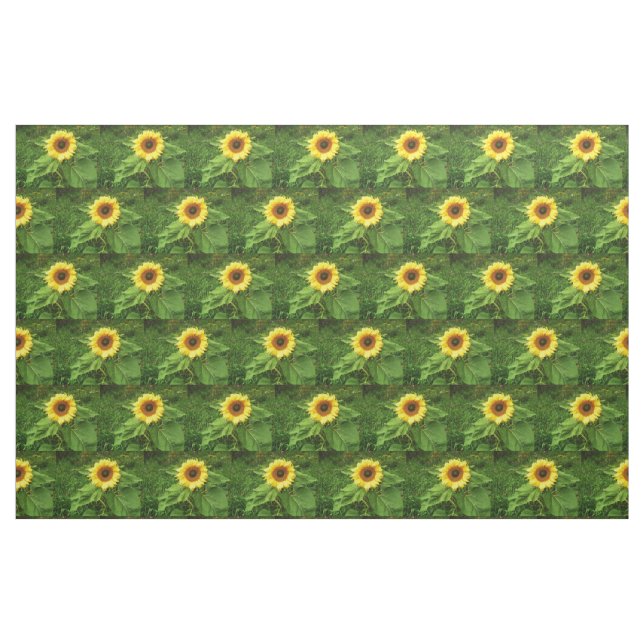 La tela del GIRASOL ("Cuarto gordo" (fat quarter))