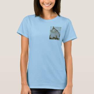 La tentación de Miru, camiseta