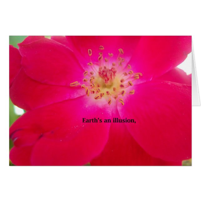 La Tierra es una ilusión (Anverso (Horizontal))