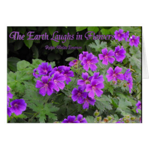 La tierra ríe en flores