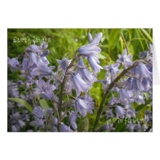 La Tierra Ríe En Flores - Tarjeta En Blanco (Anverso (Horizontal))
