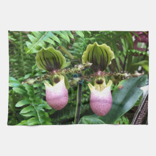 La toalla de cocina de Lady Slipper Orchids