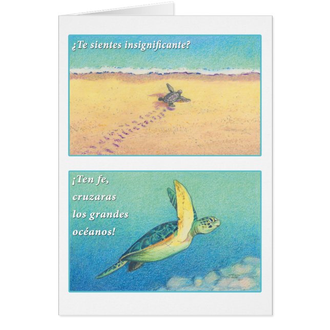 La Tortuga de marcha, tarjeta (Frente)