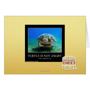 La tortuga no está enojada