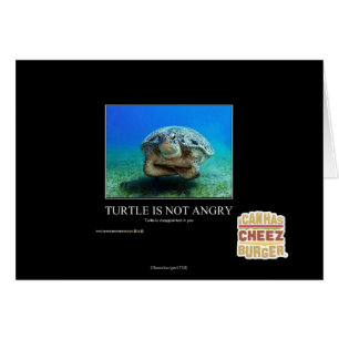 La tortuga no está enojada