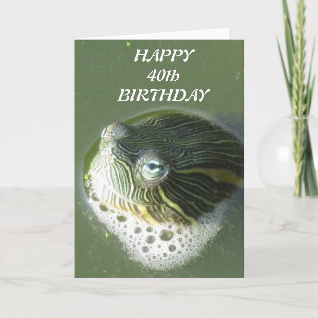 La tortuga observa tarjetas de cumpleaños (Anverso)