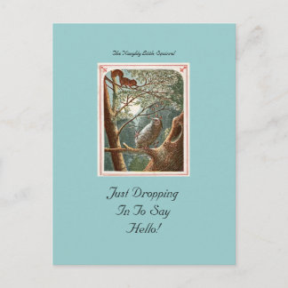 La traviesa postal de la ardilla